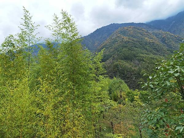 2023年10月21日 成都 - 卧龍大熊貓基地