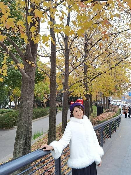 2024年12月24-25日 香港 -- 深圳 -- 上海