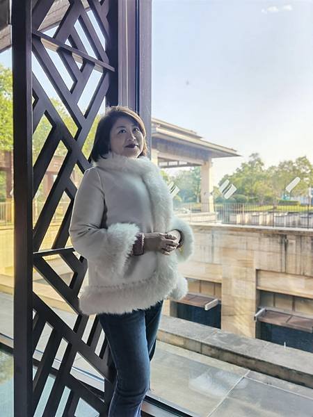 2025年3月17日黃鶴樓 -- 古德寺 -- 東西湖鬱金香
