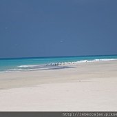IMG_1919.JPG