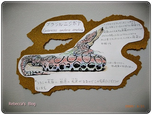 下一張(熱鍵:c)