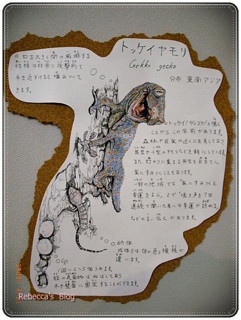 下一張(熱鍵:c)