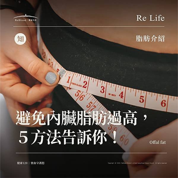 0120＿脂肪介紹_工作區域 1 複本 2.jpg