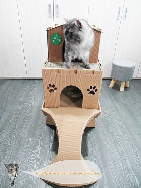 【小物】Meow House喵屋/毛孩子的高檔別墅/紙箱貓屋