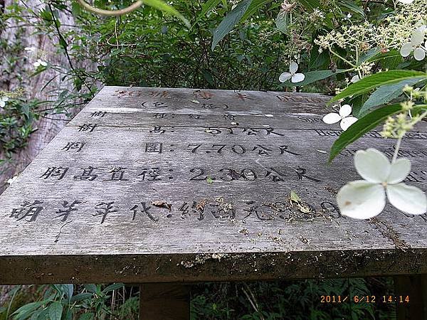 包拯01.JPG