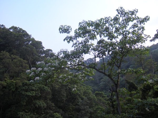 DSC03116.JPG