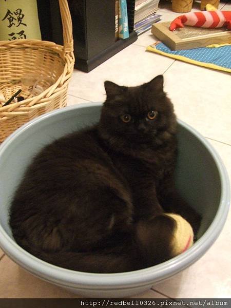 DSCF2500.JPG