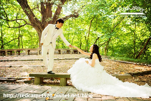 DSC_7305_副本-s.jpg