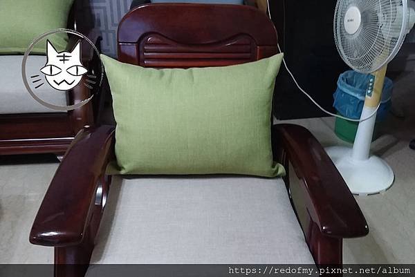 PhotoCap_100.jpg