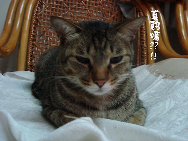 DSC04742.JPG