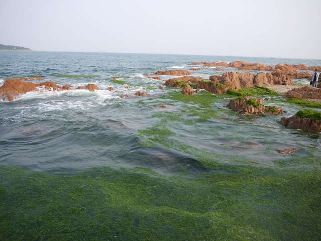 20120622-24青島 (234)