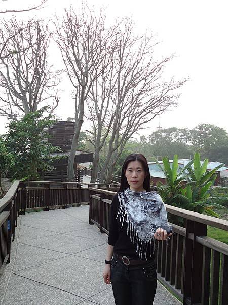 DSC00900