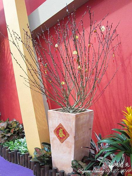 10101-16 花現台北_0090.jpg