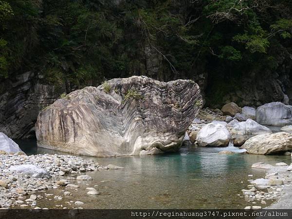 P1070545 (800x601).jpg