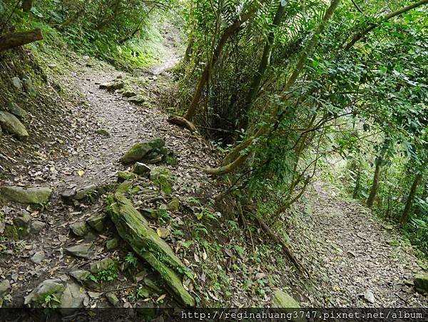 P1070635 (900x676).jpg