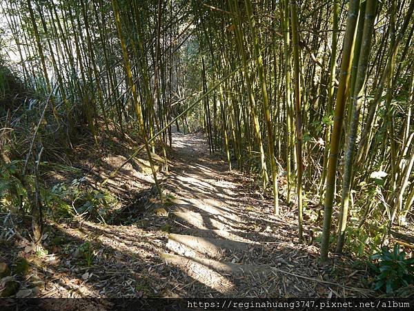 肉腳勇闖望鄉獵人古道～望美山、望高寮