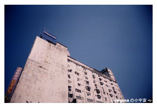 20090506.jpg