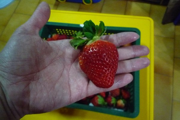 P1150568.JPG
