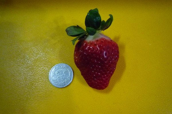 P1150569.JPG