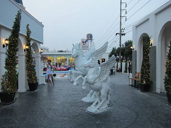 IMG_2391