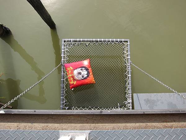 IMG_3511