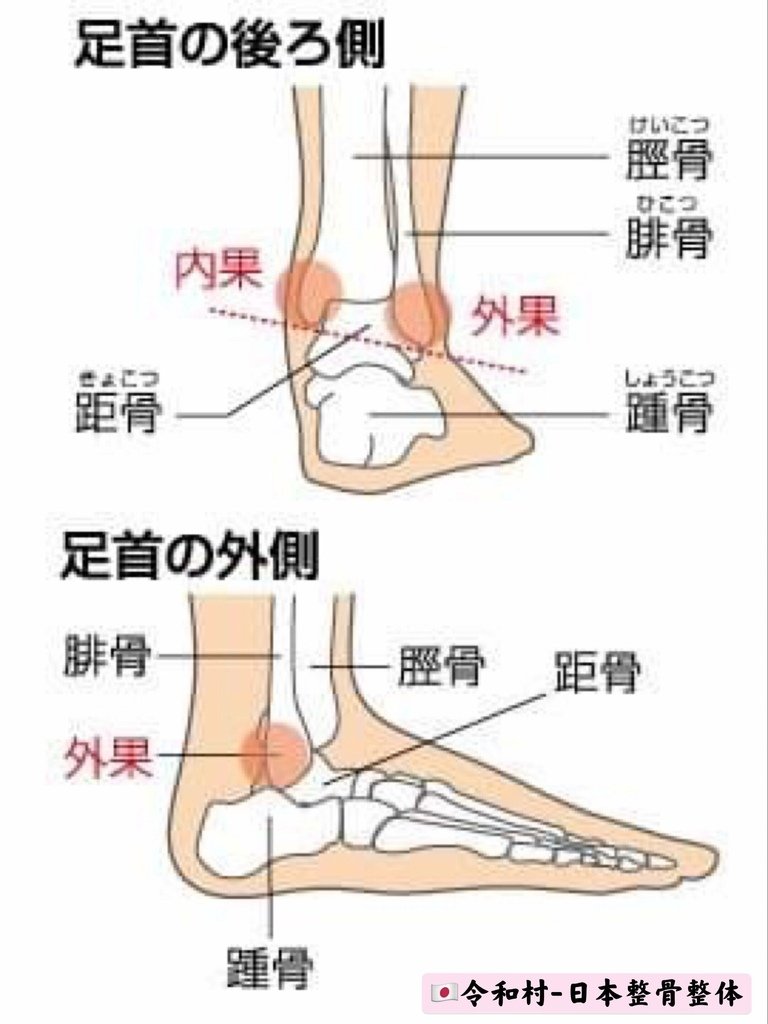 足首骨.jpg