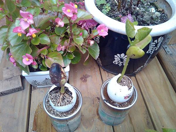 2012-04-15 13.49.47