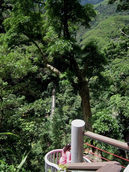 DSCN2731.jpg
