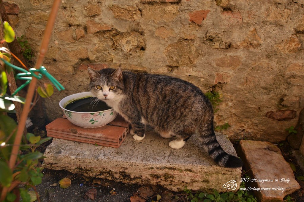 DSC_4992.JPG