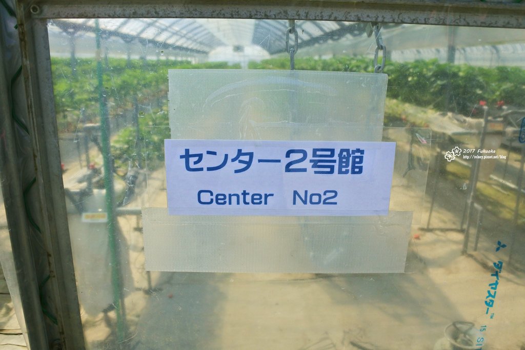 DSC_2617.JPG