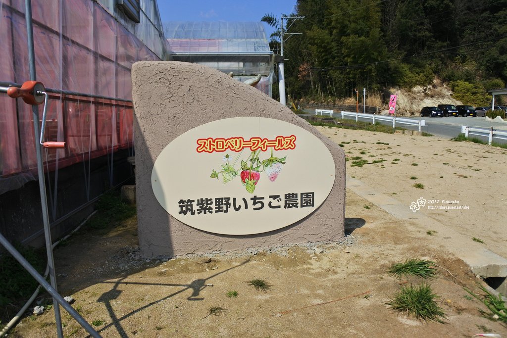 DSC_2637.JPG