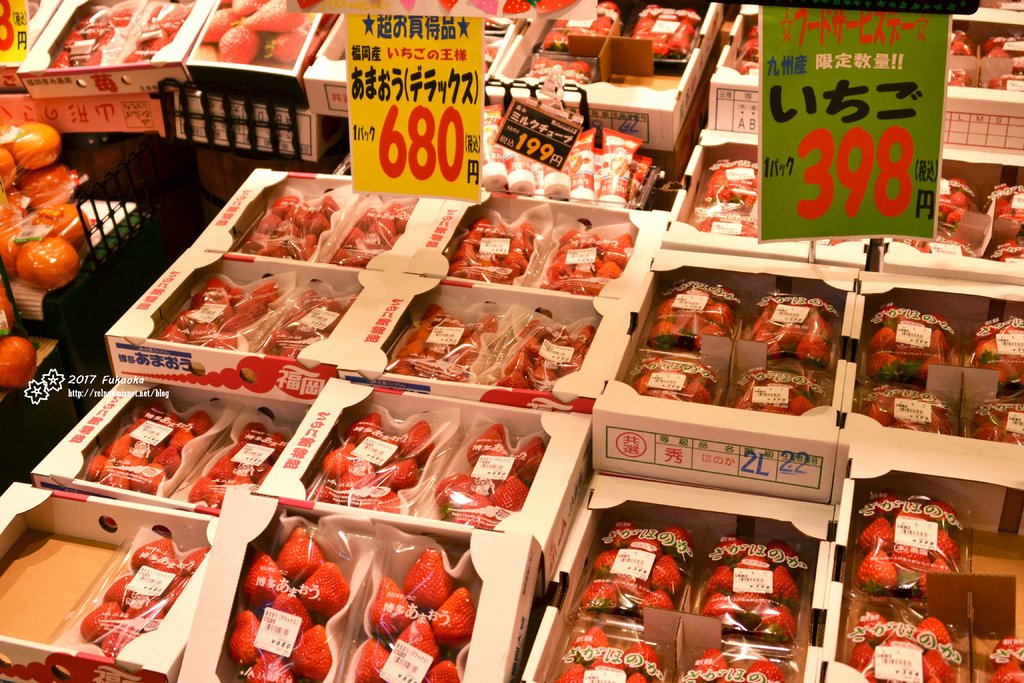 DSC_8334.JPG