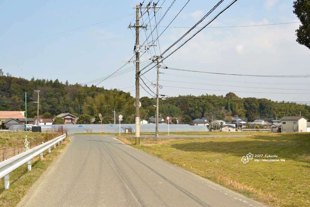 DSC_8392.JPG