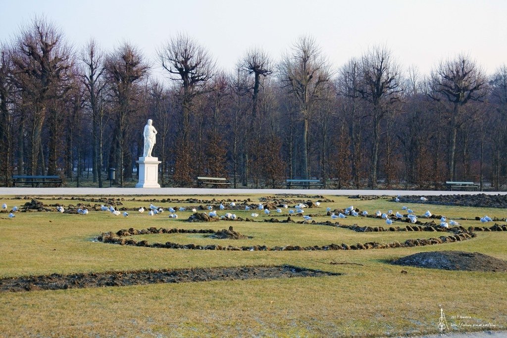 DSC_1993.JPG