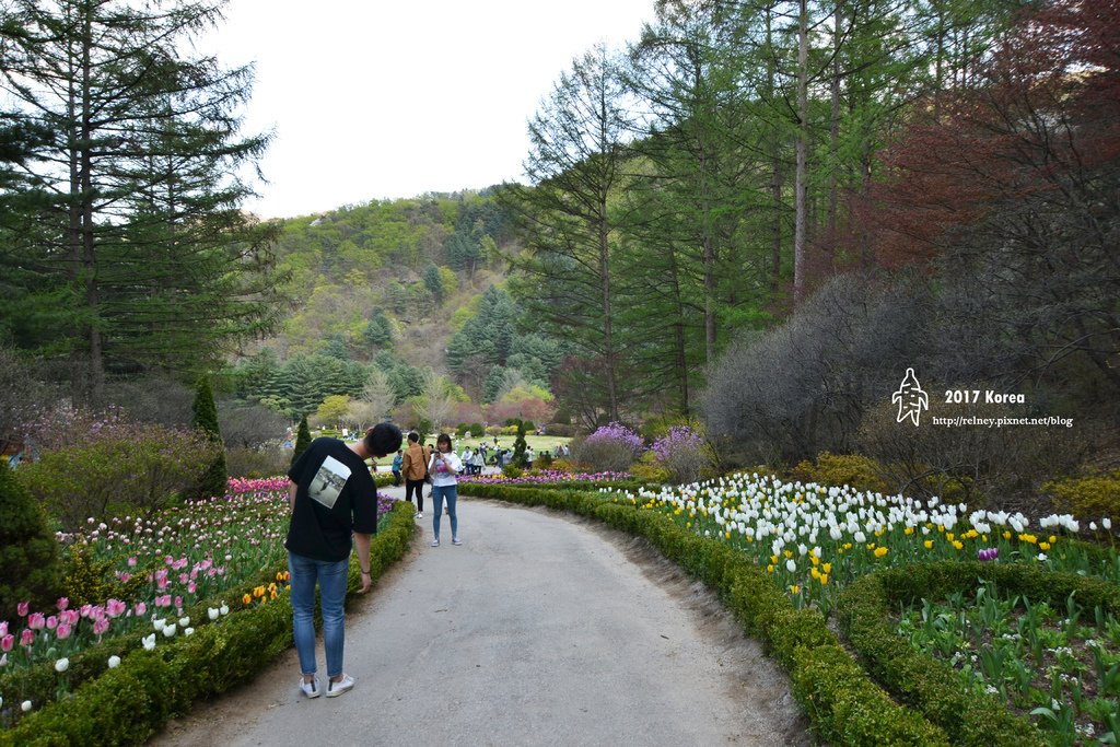 DSC_9937.JPG