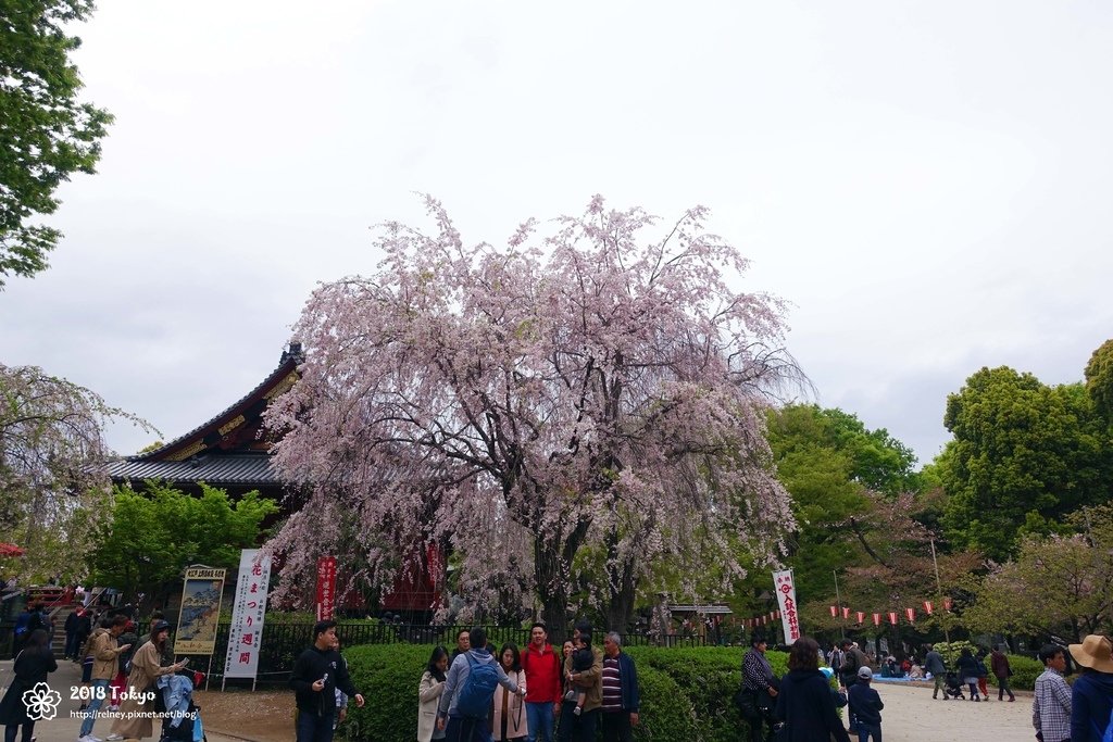 DSC08134.JPG