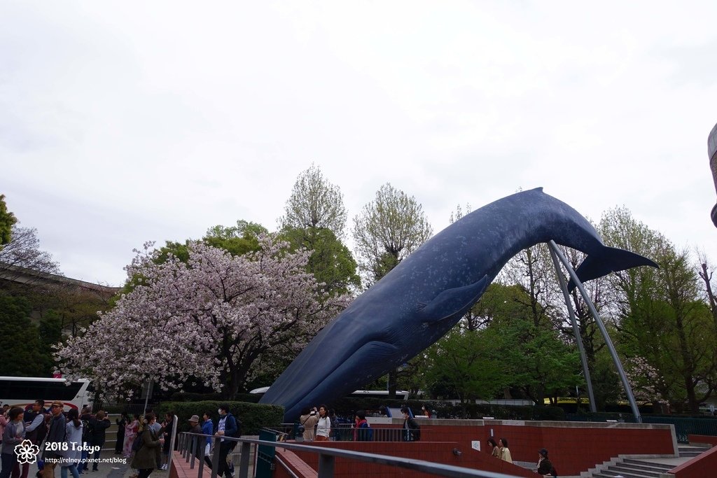 DSC08143.JPG