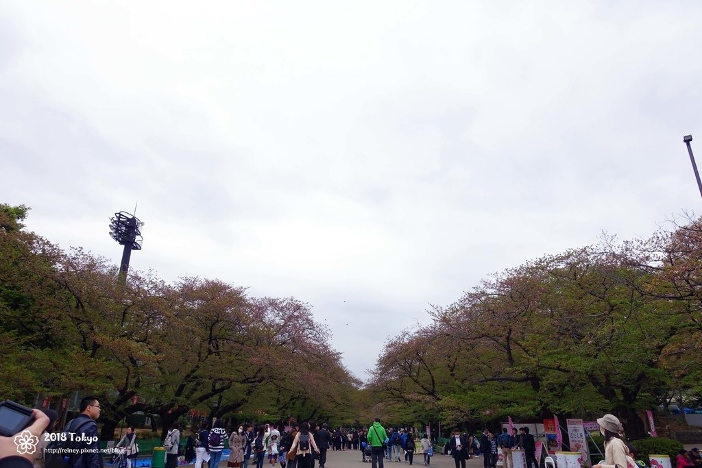 DSC08210.JPG