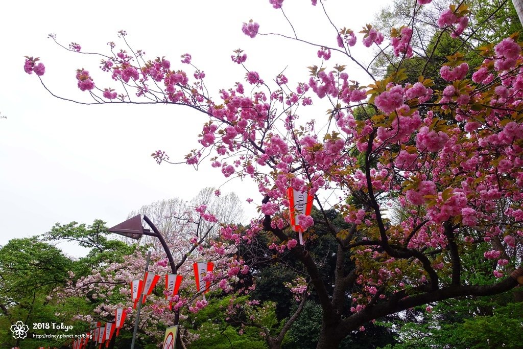 DSC08220.JPG