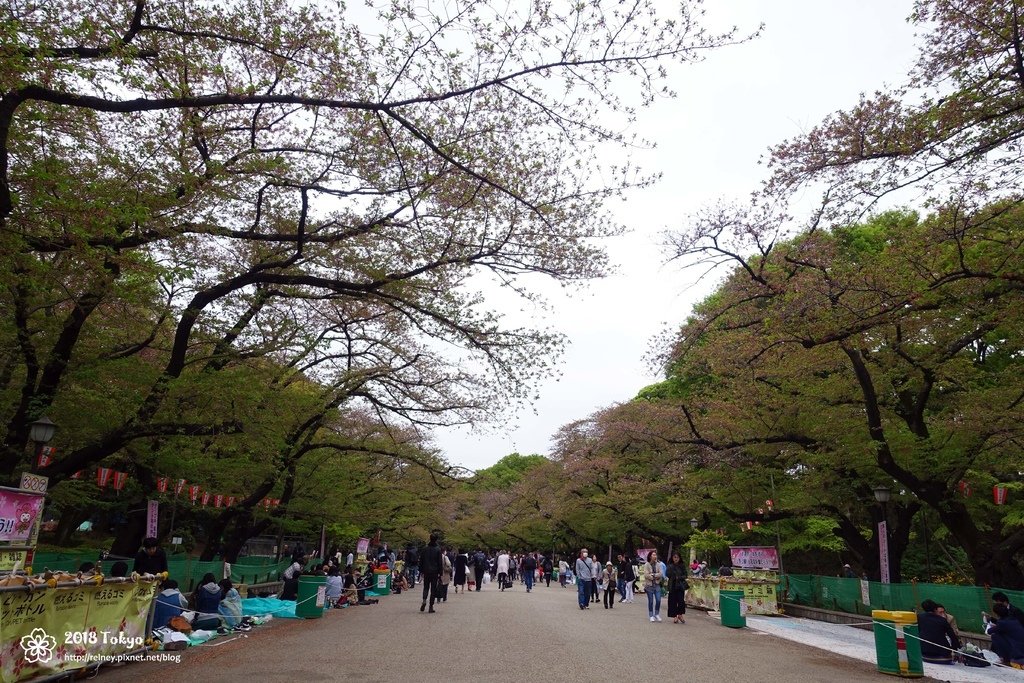 DSC08214.JPG