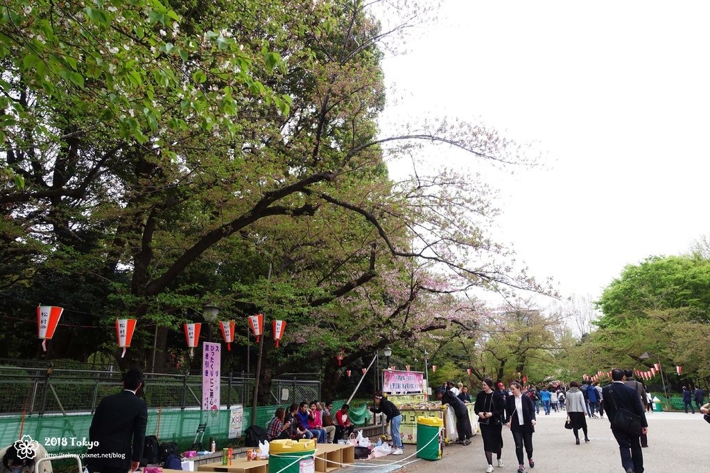 DSC08215.JPG
