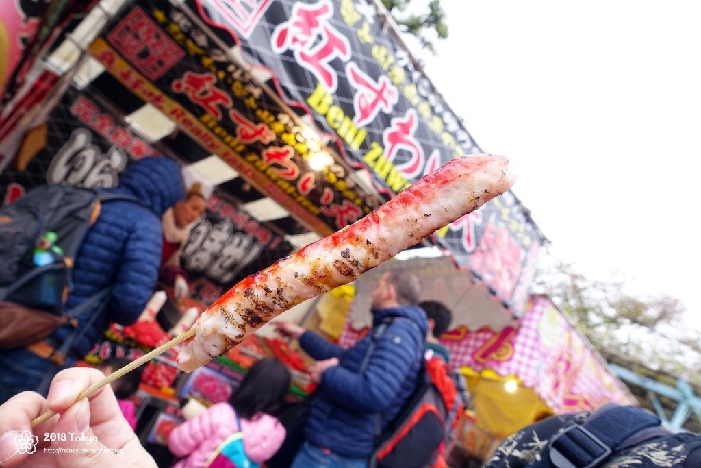 DSC08281.JPG
