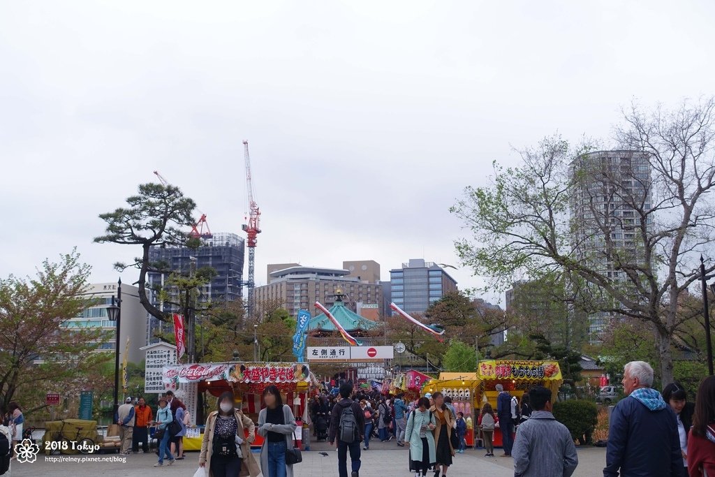 DSC08275.JPG