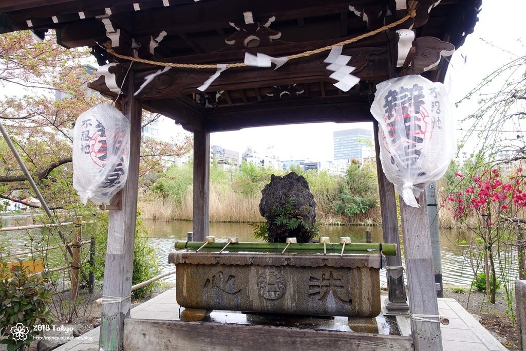 DSC08287.JPG