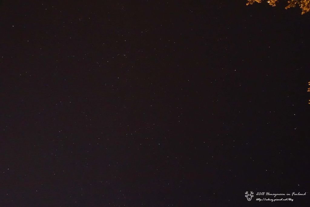 DSC01775.JPG