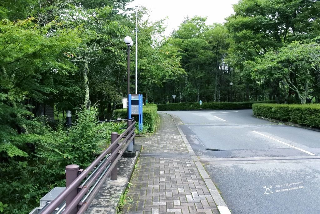 DSC_5866.JPG