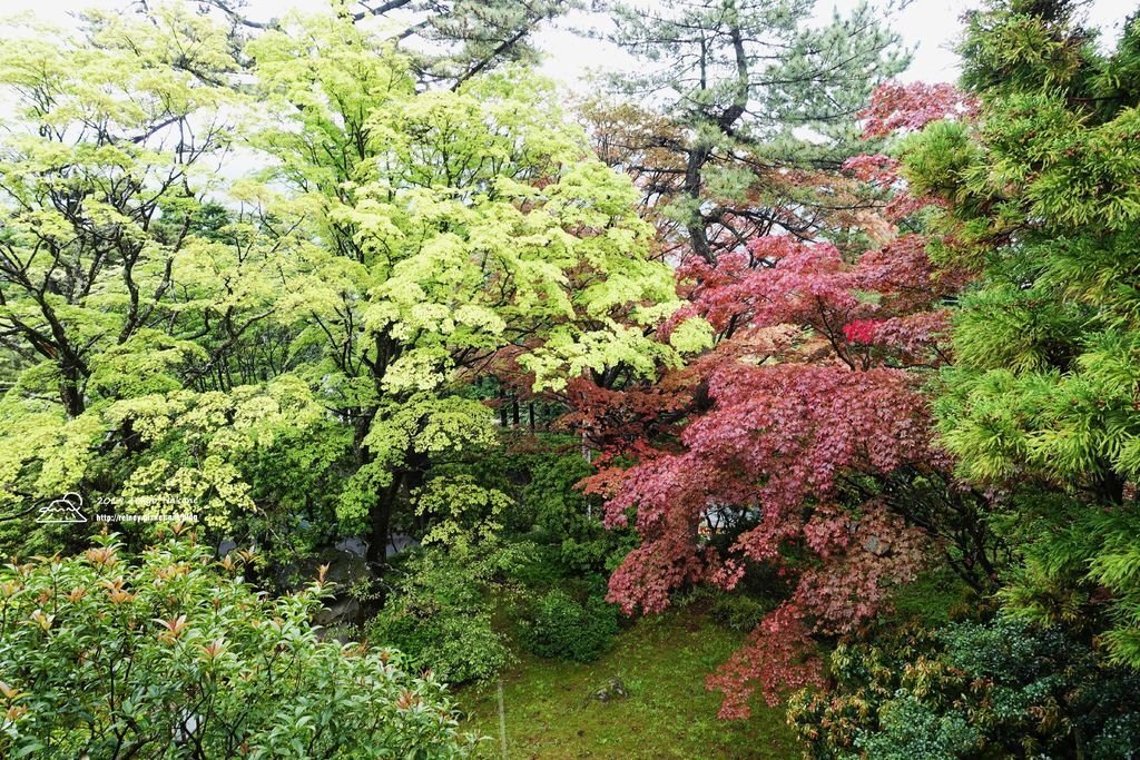DSC04828.JPG