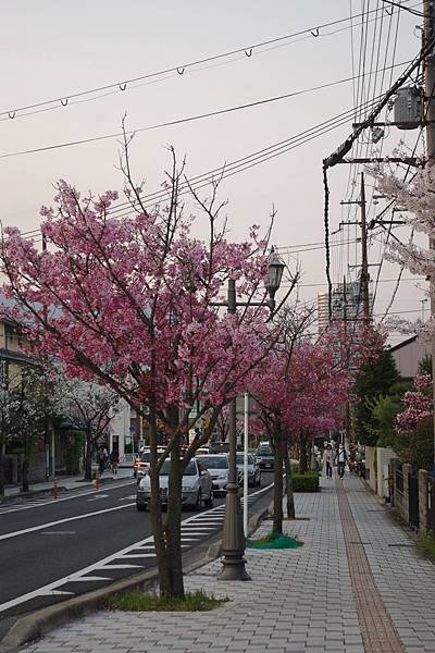 24_三井寺-03