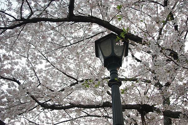 29_三井寺-08