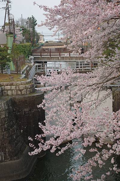 34_三井寺-13
